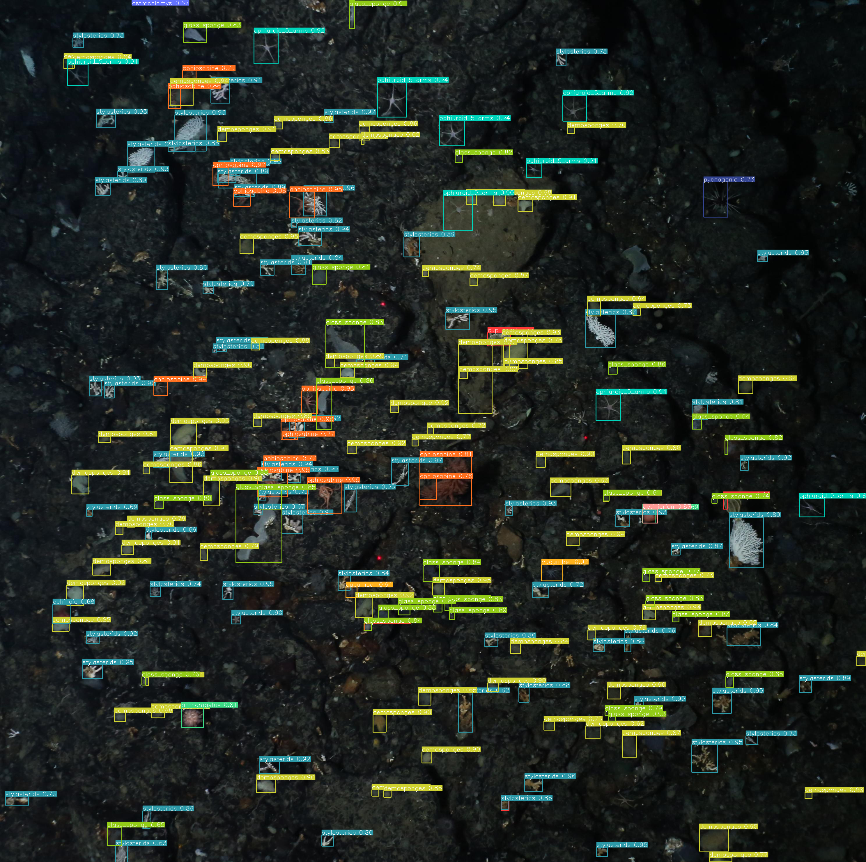 Benthic ecosystem example